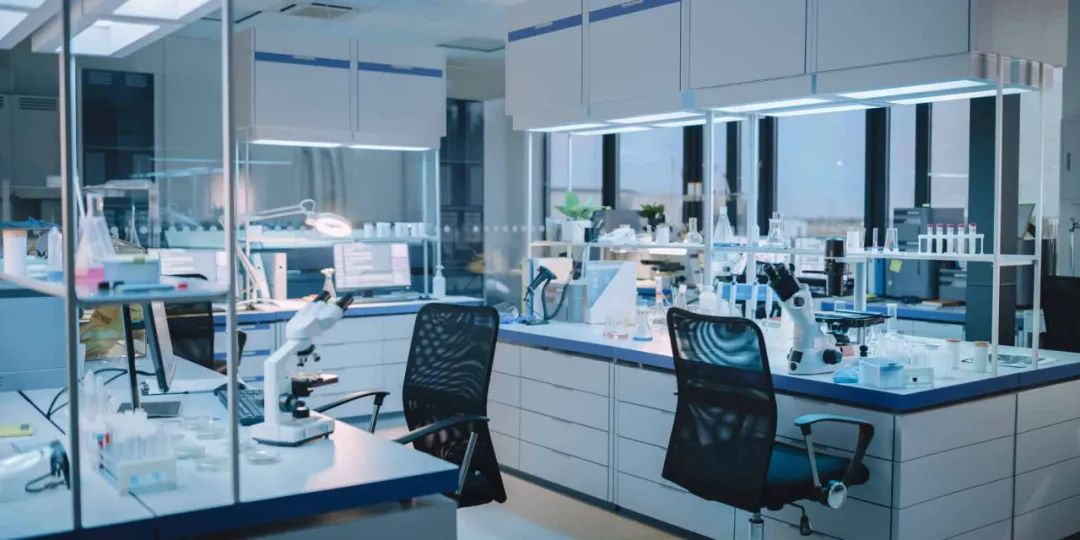 “分子膠水”賦予T細胞免疫監視“超能力”