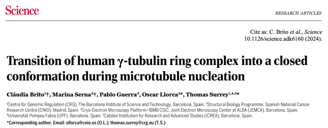 Science重磅：首次捕獲人類(lèi)細(xì)胞“高速公路”構(gòu)建過(guò)程的高分辨率圖像，為微管相關(guān)疾病的治療指明新的方向！