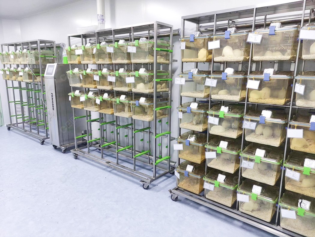 實驗動物研究：標準化模式動物實驗室建設 CEIDI西遞