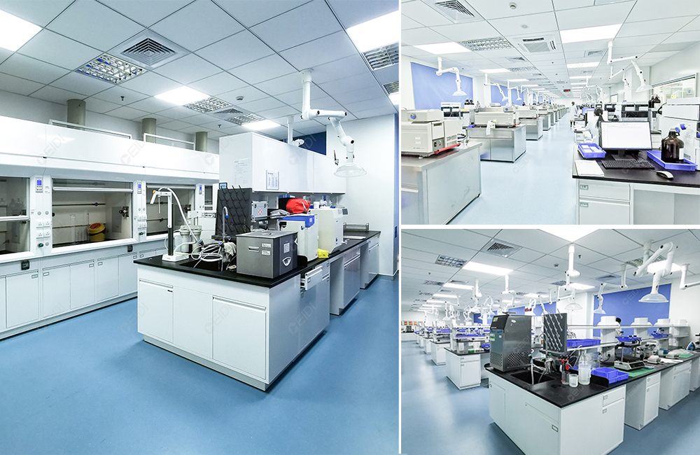 從理論到實踐，藥品檢驗檢測實驗室標準建設方案指南 